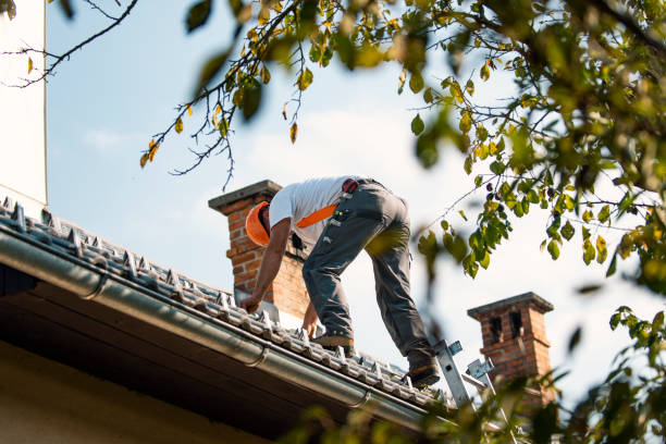 Roof Gutter Cleaning in Dravosburg, PA